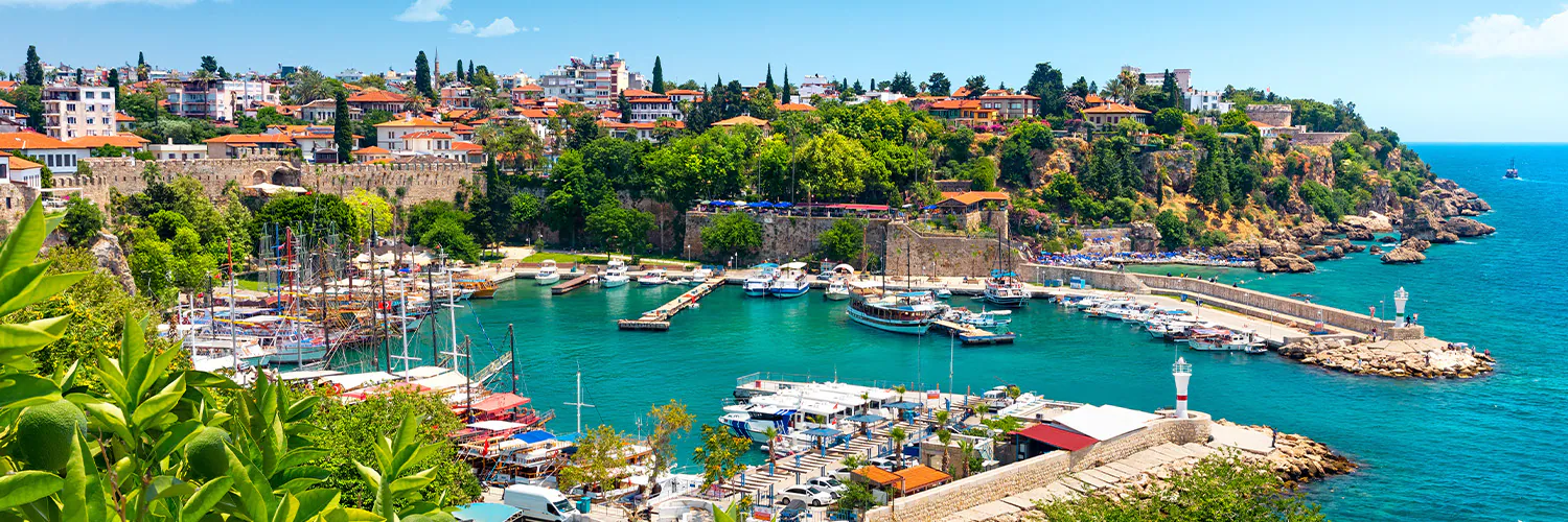 Vitrin Görselleri Örnek Şirket