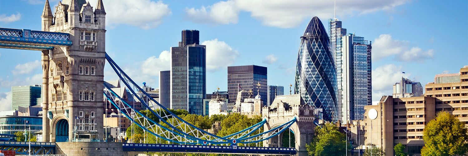 Vitrin Görselleri Örnek Şirket